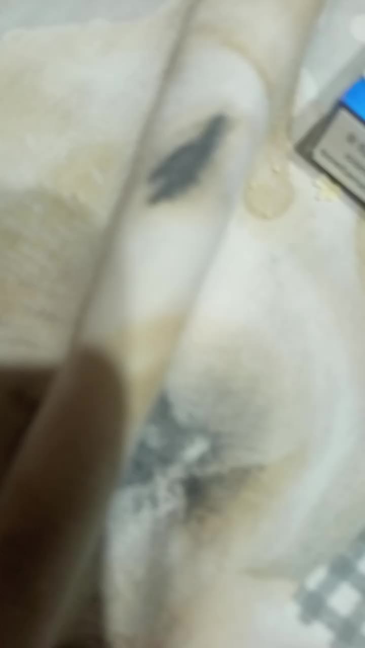 @emanuelaippolito7