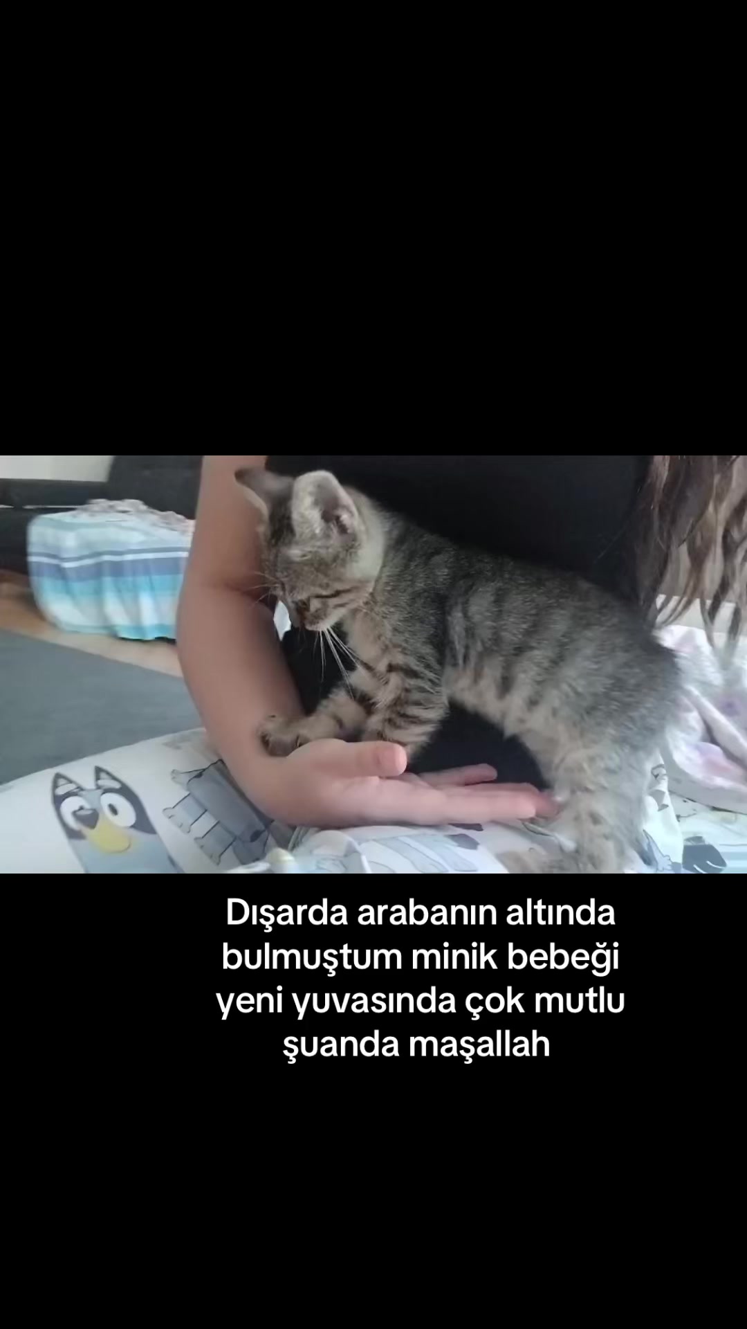@yudummz_