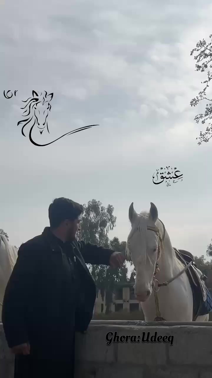 @Ibrahim jadoon