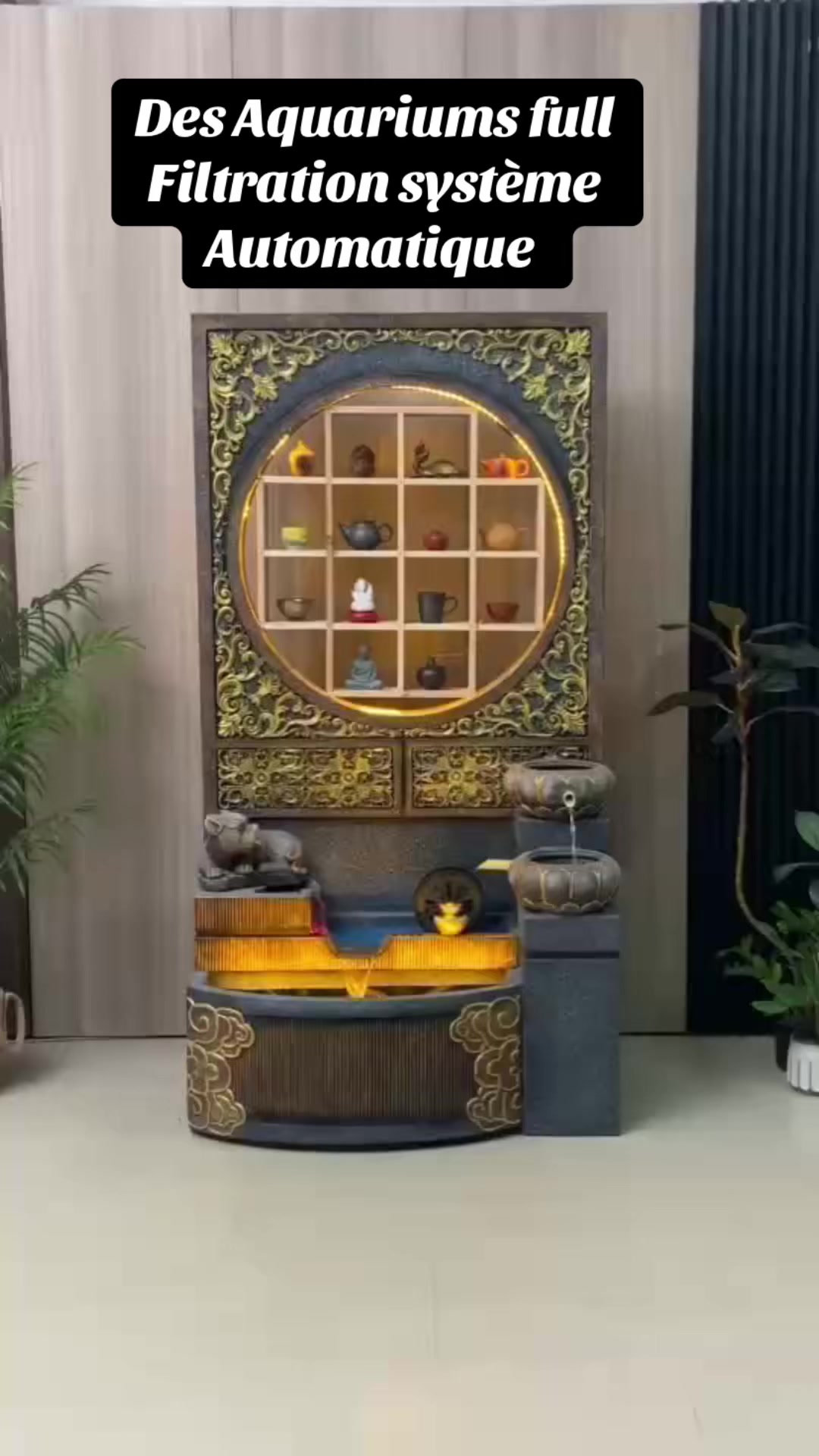 @momobusnesschina