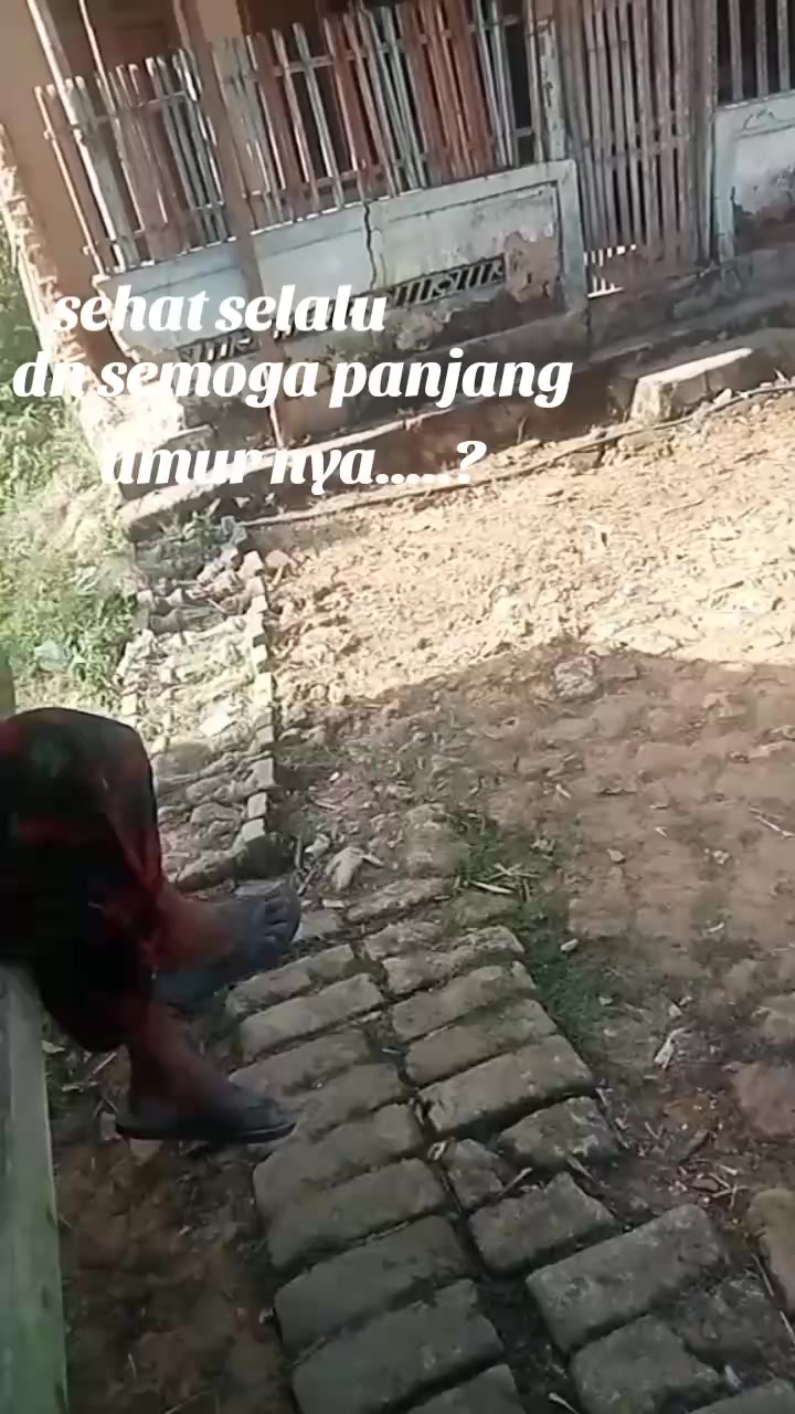 @mz yusuf &