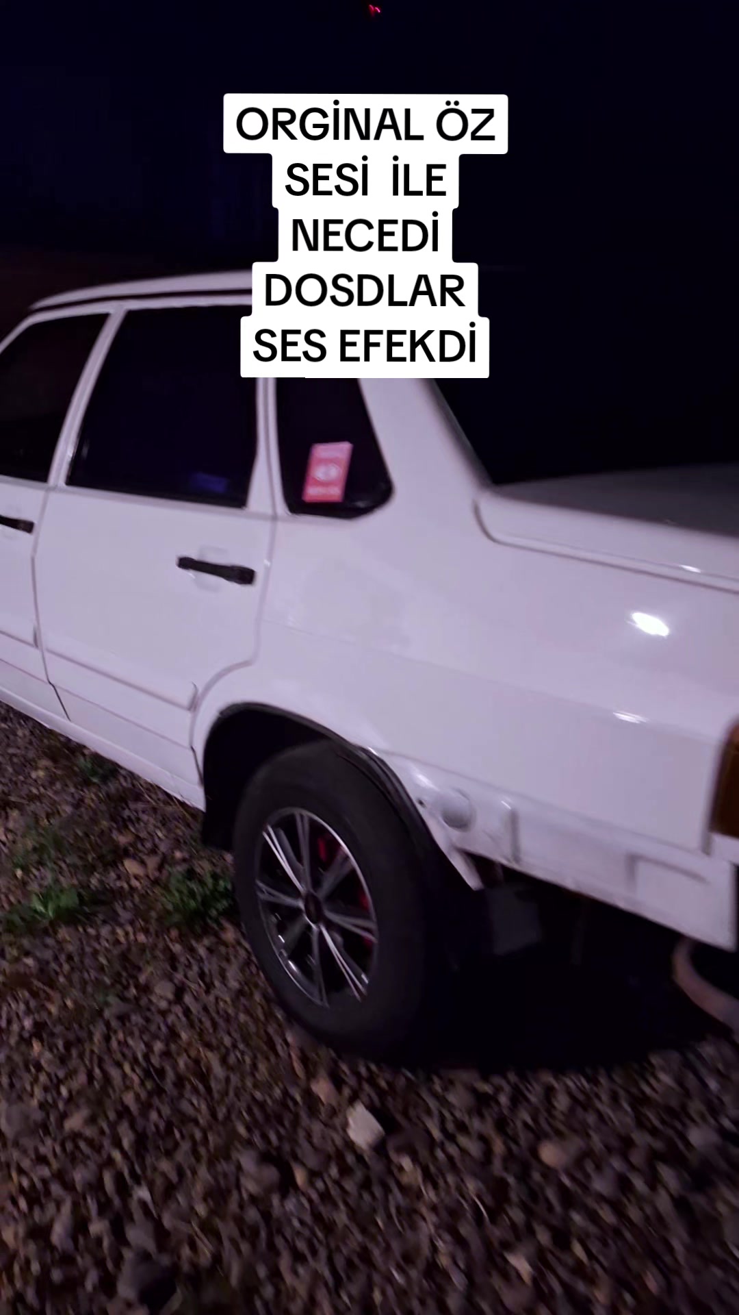 @M_LACINIM_341_M