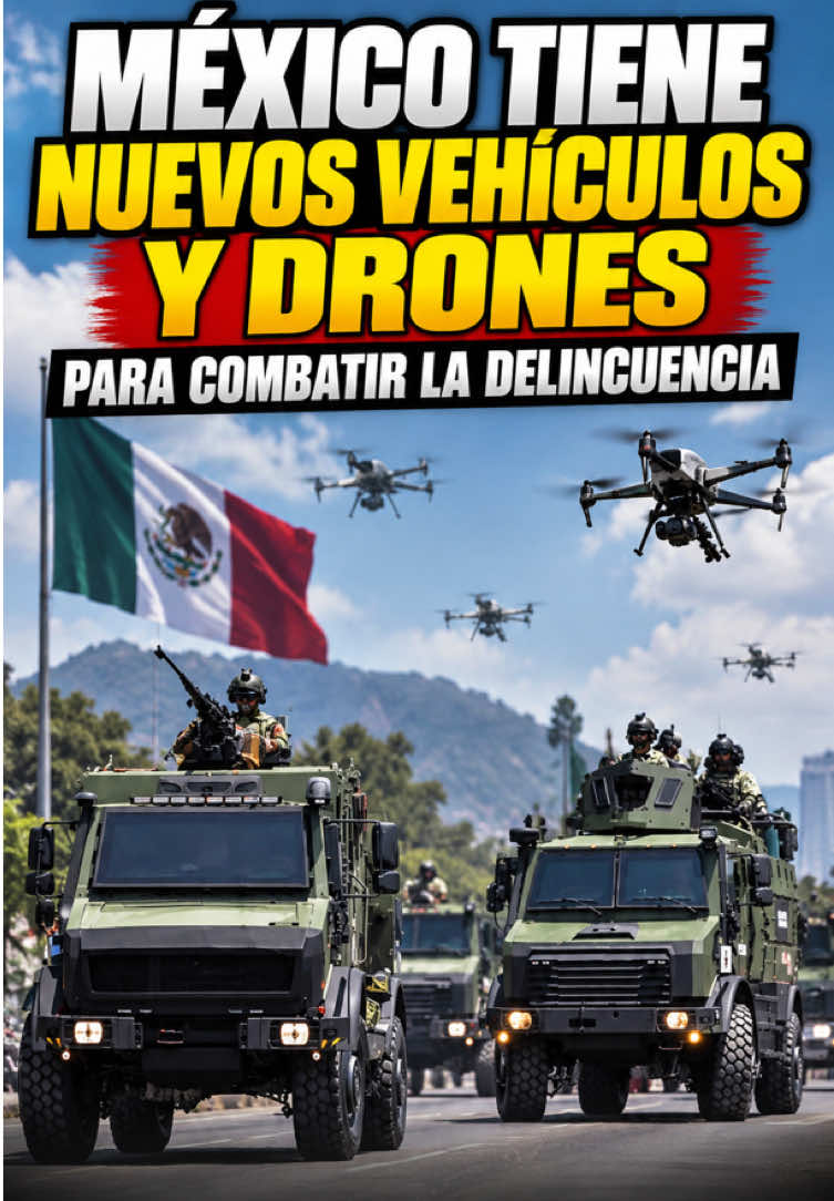 @Campechaneando Noticias