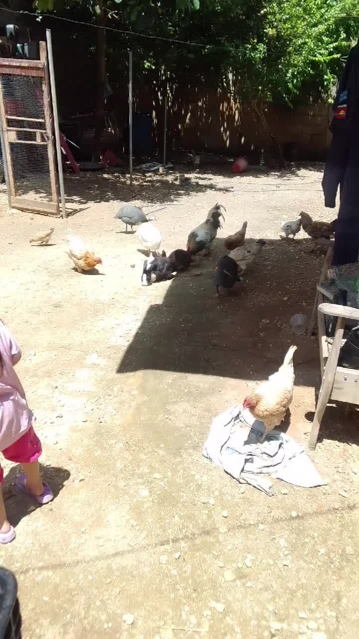 @KOSOPOWER