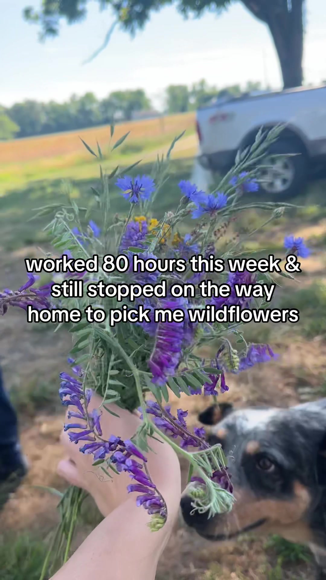 @farmerandtheharpiist