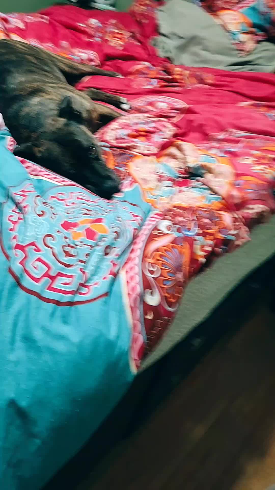 @authortheresajcbs