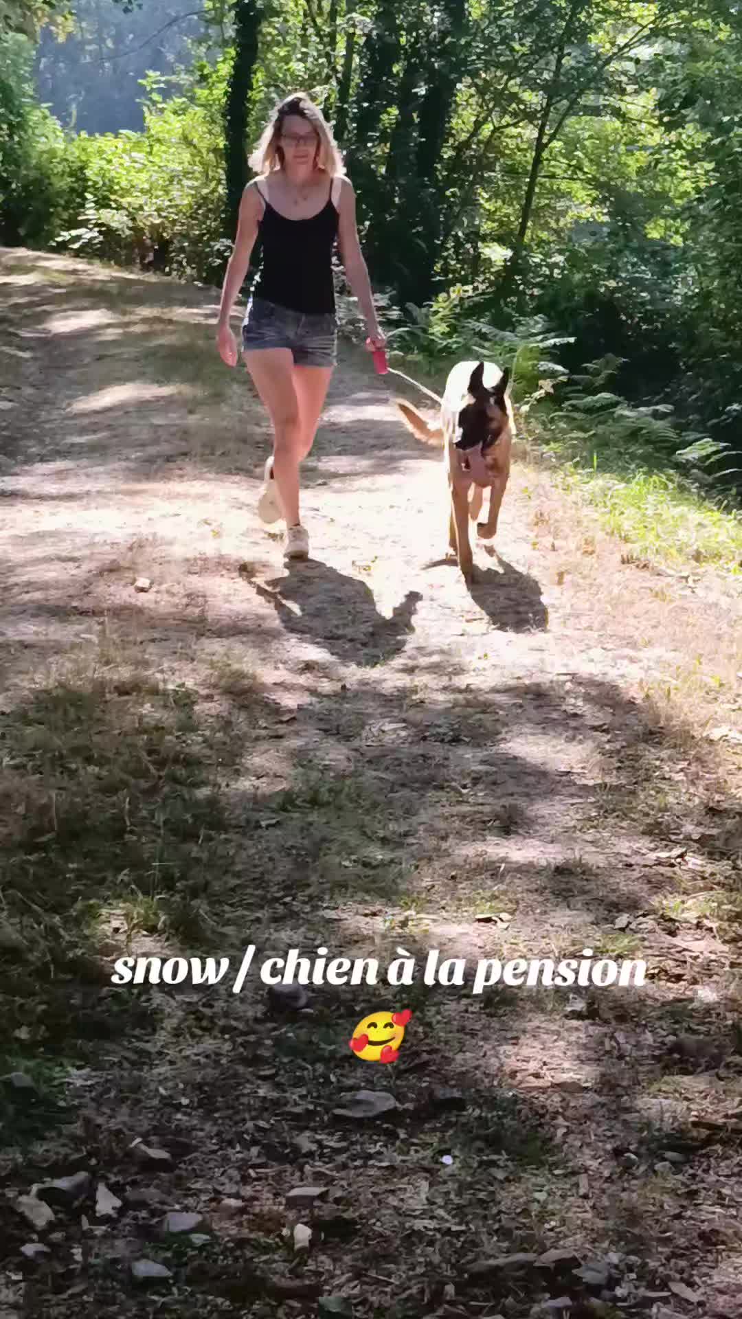 @Ludivine 🪶🐶🐮