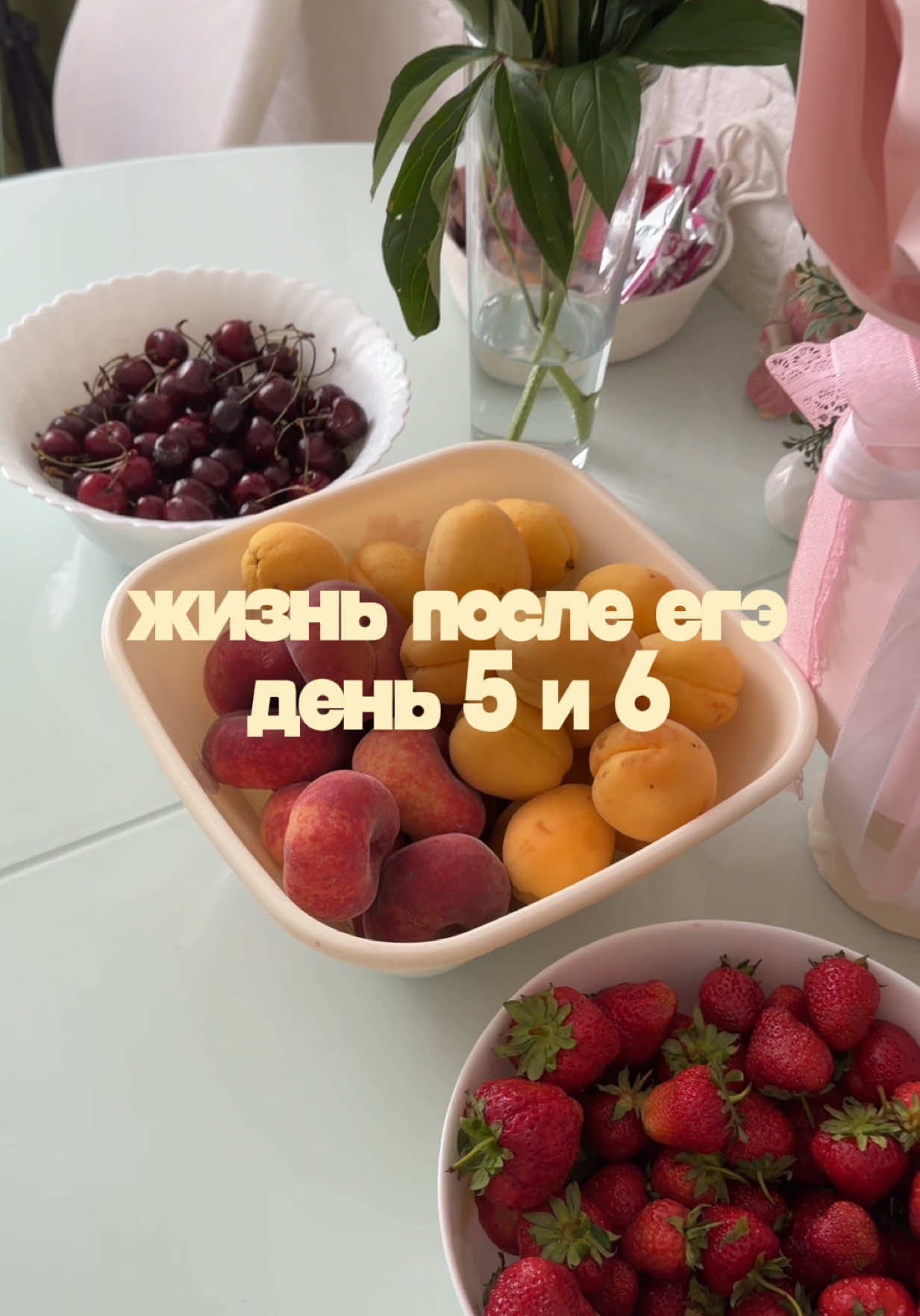 @novanikss