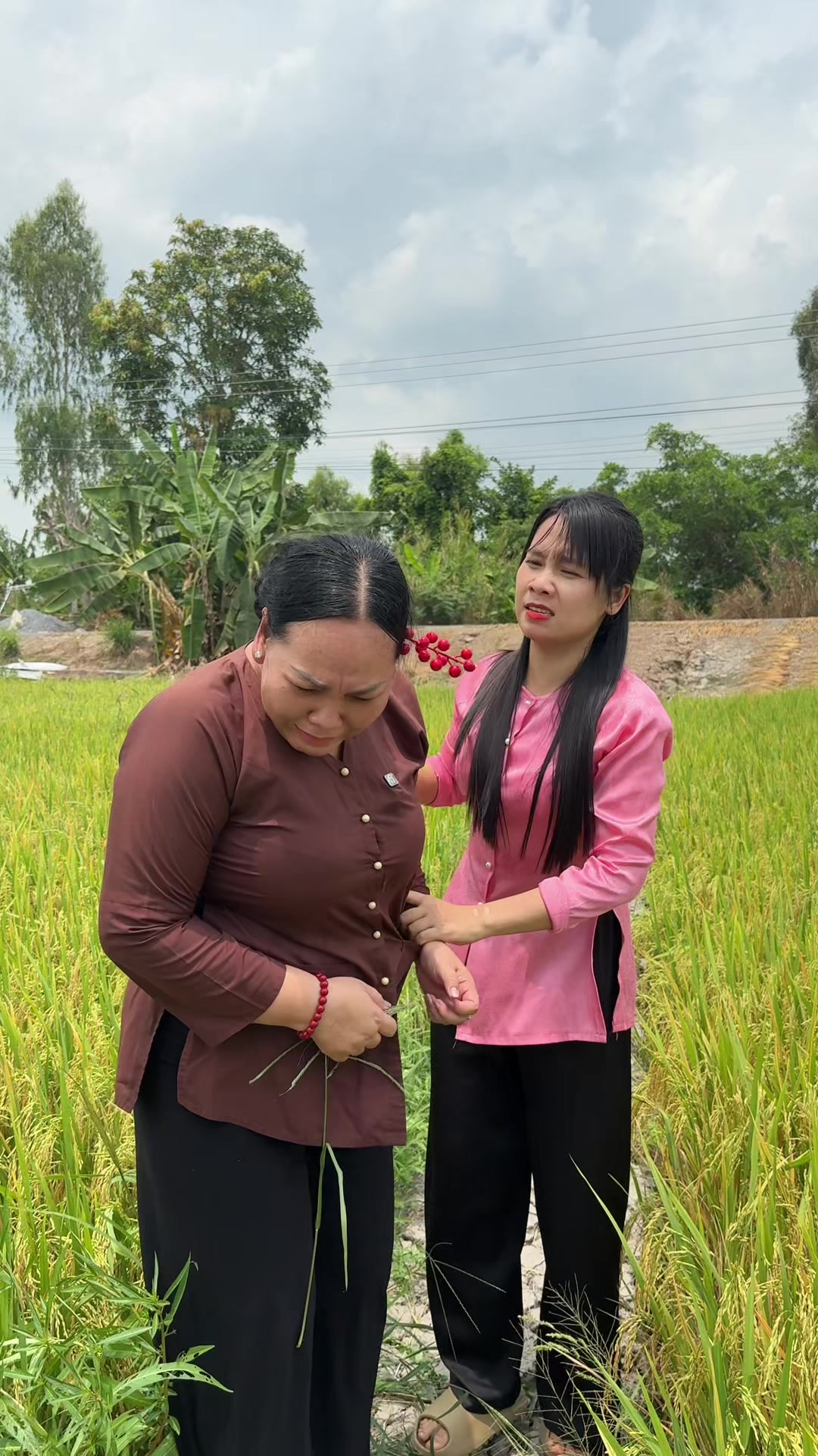 @Ngoại 9 Miền T&acirc;y 🇻🇳
