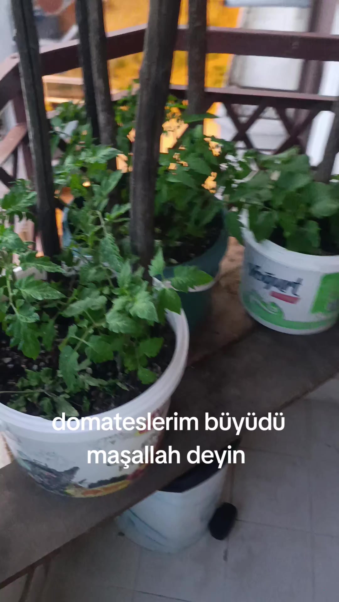 @zalimin kızı 06