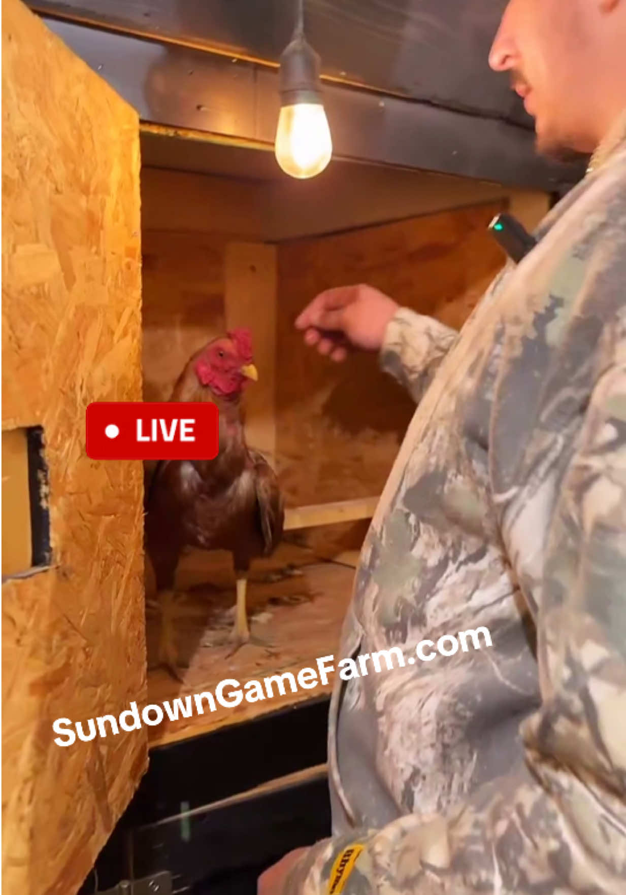 @Sundown Game Farm