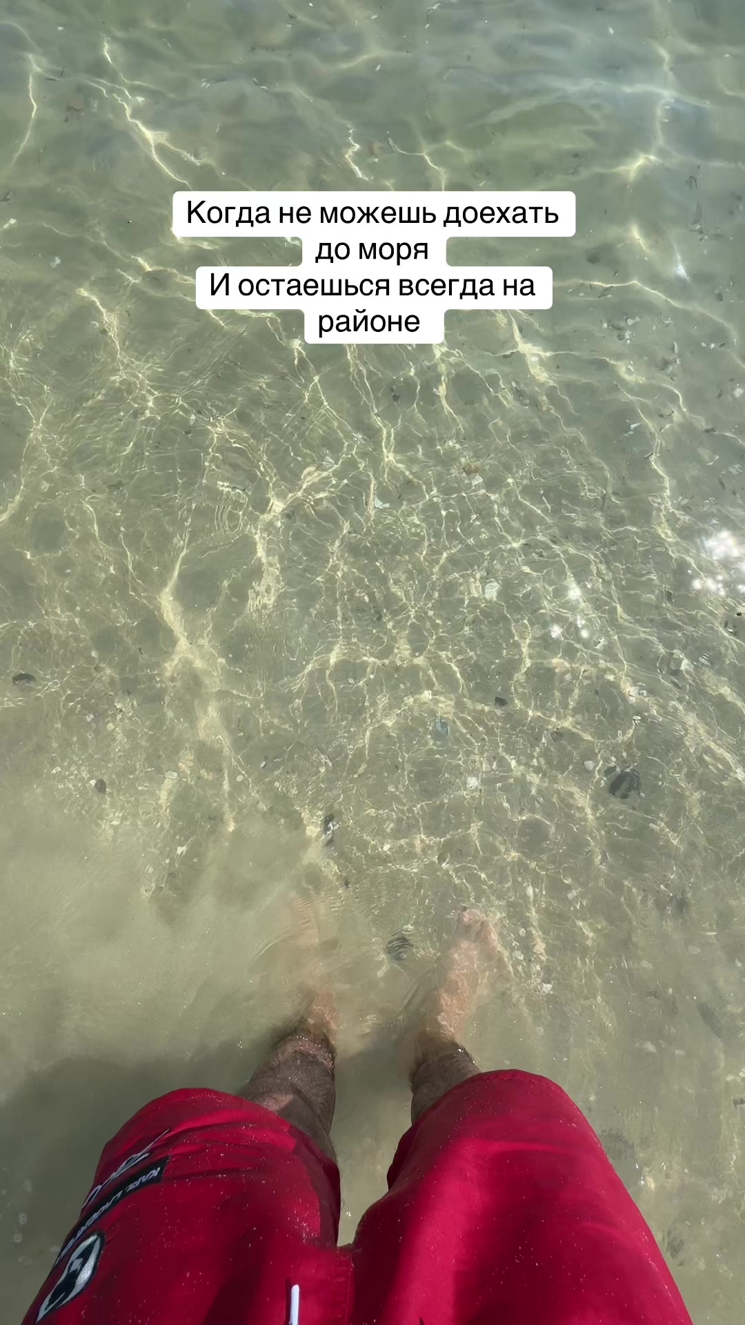 @Давид Гарибян