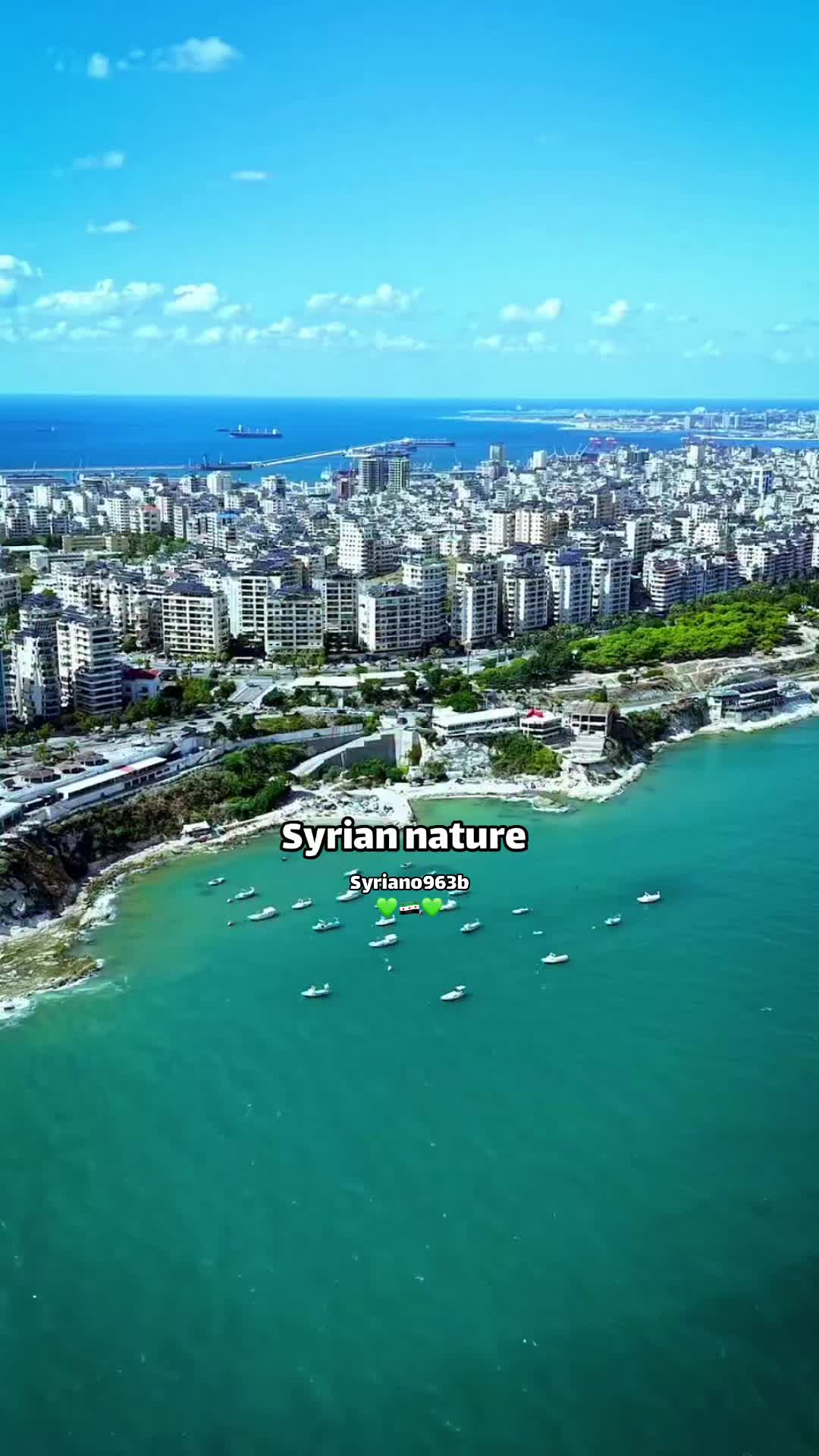 @Syriano/سريانو🇸🇾🦅