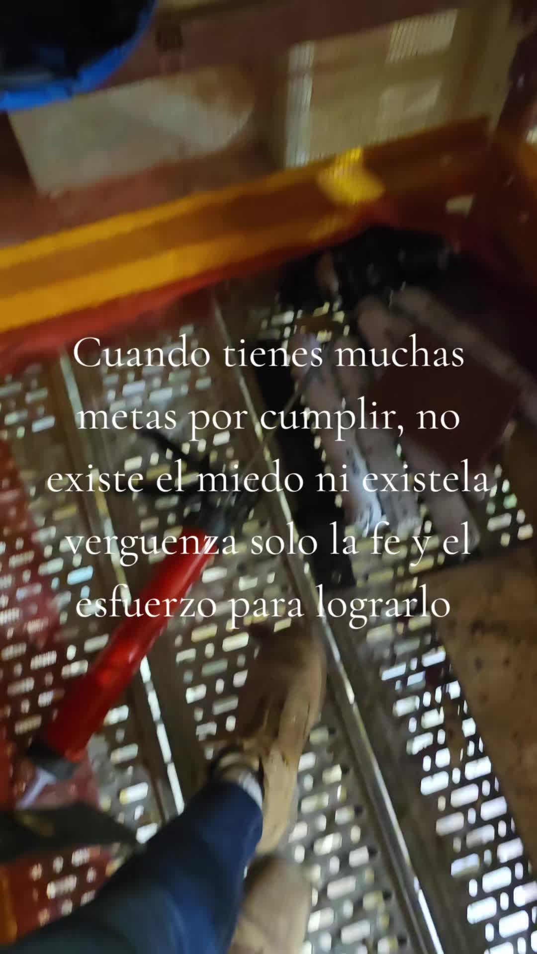 @LisArregoitia