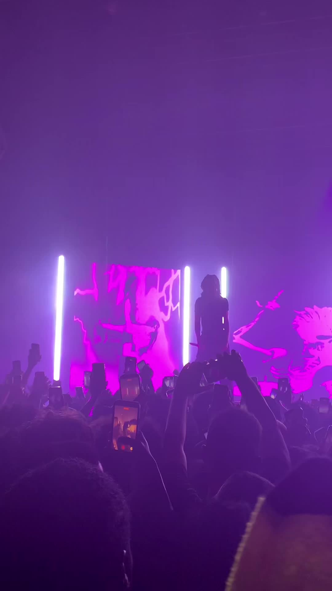 @🦇