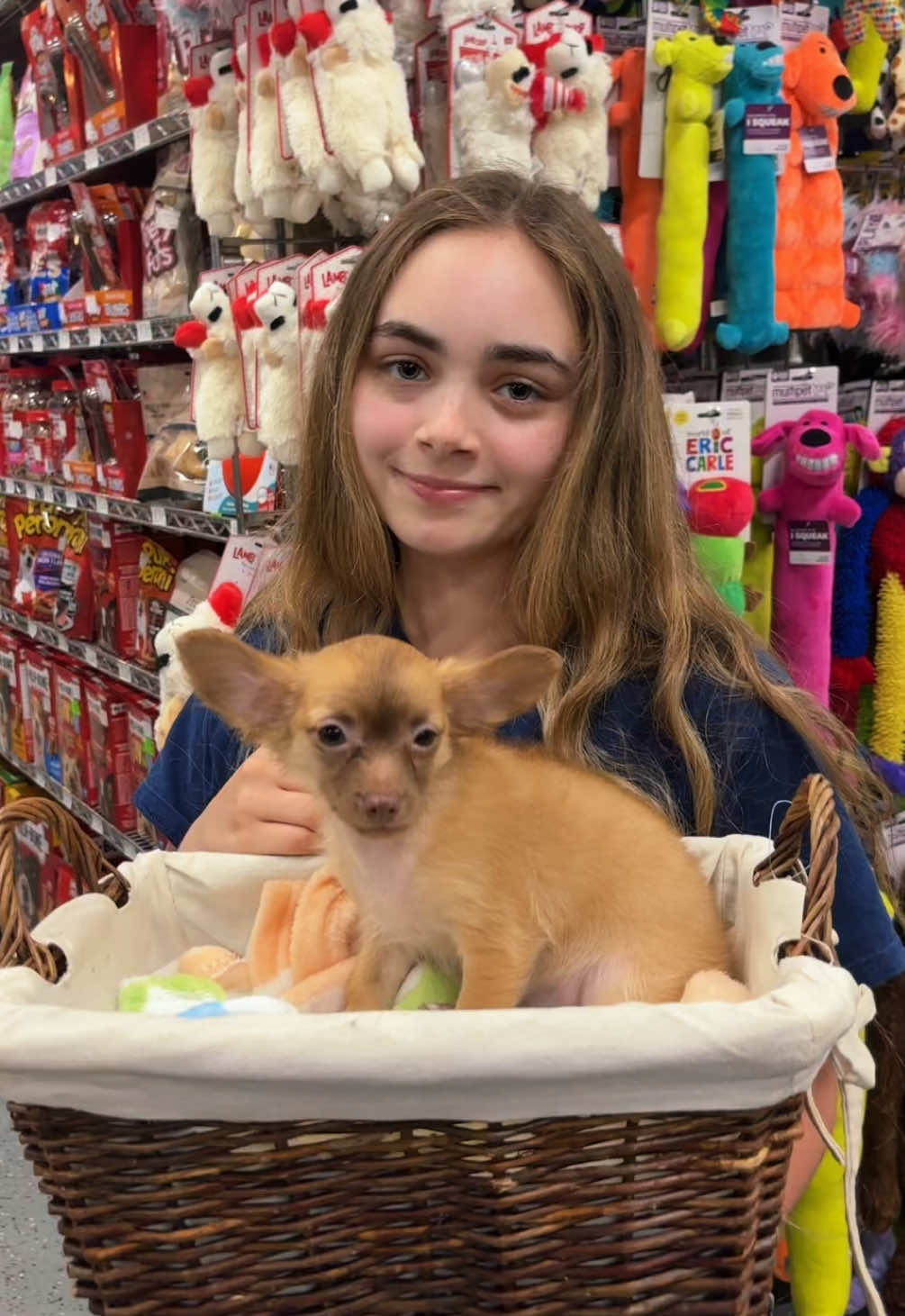 @All Pets Club