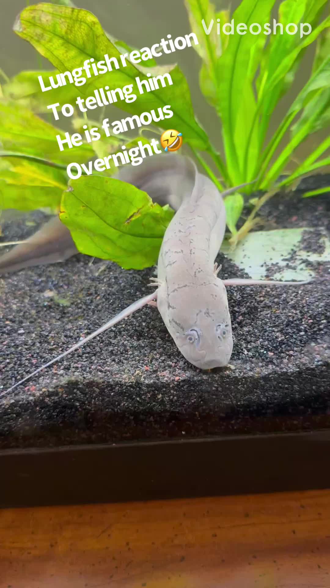 @fishdaddy2002
