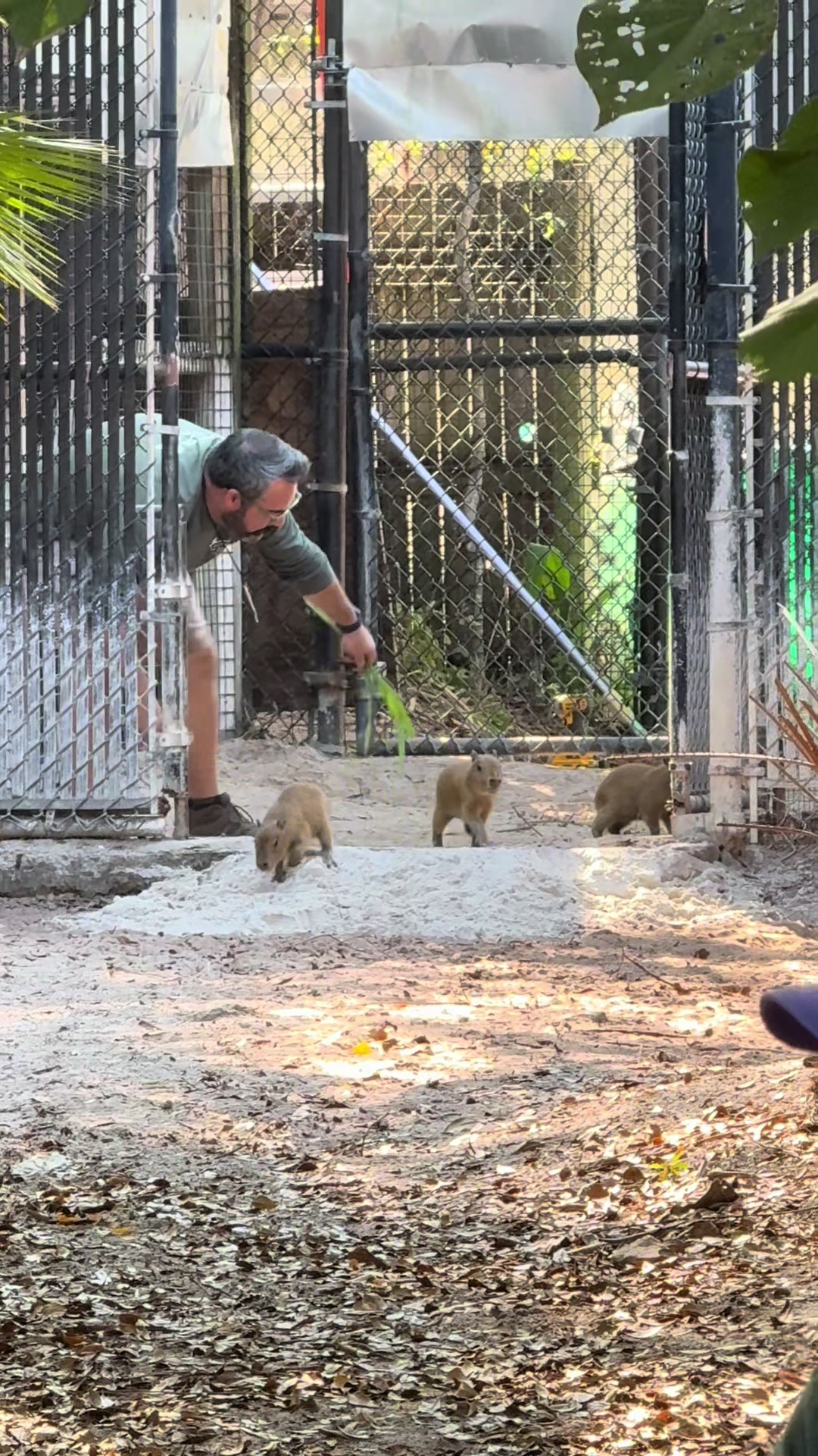 @Palm Beach Zoo
