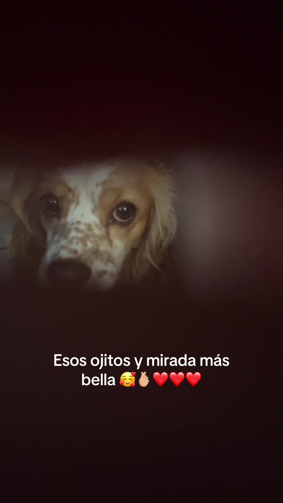 @Fanni Venegas
