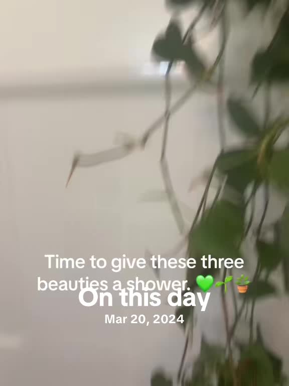 @BrittanyMarie87