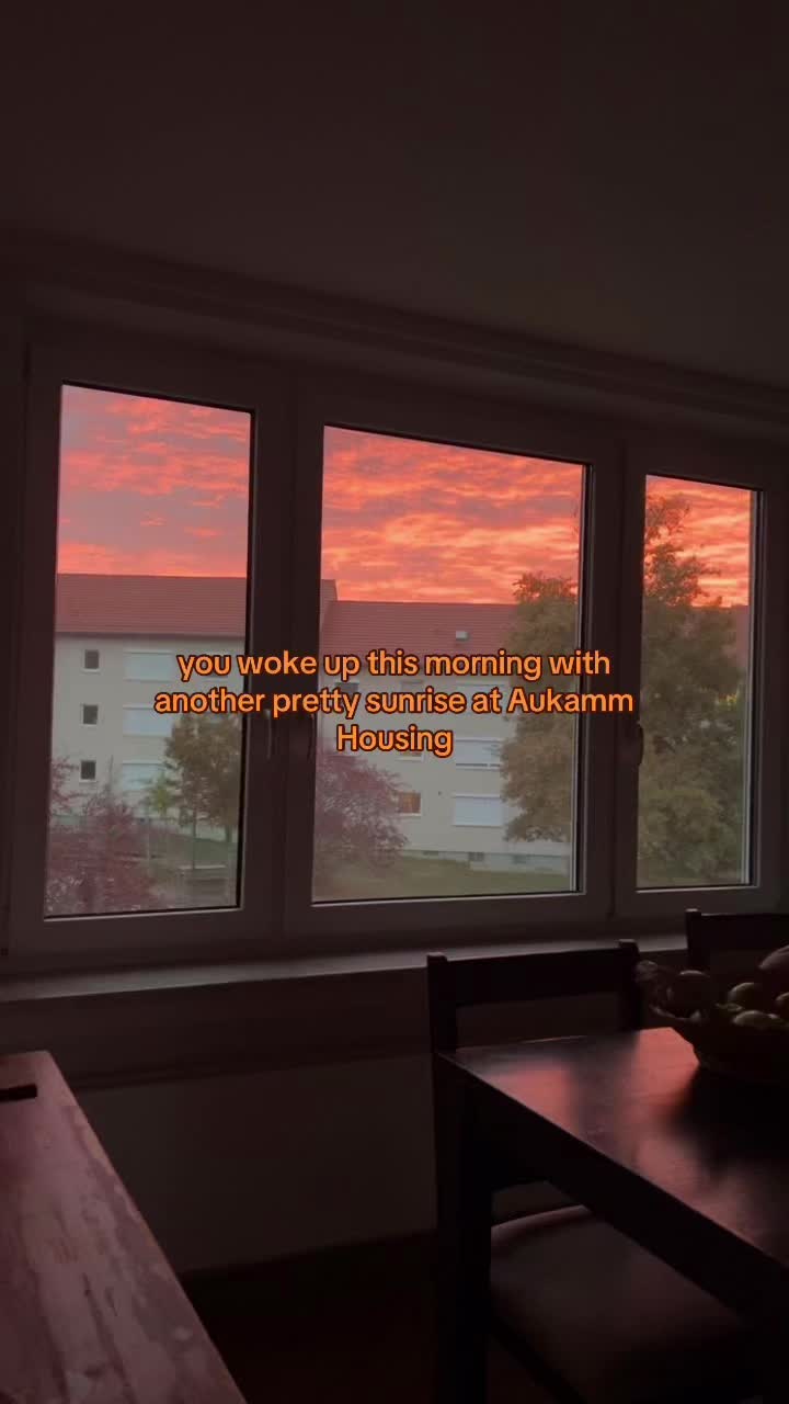 @SyLein👩🏻&zwj;🍳🇫🇲