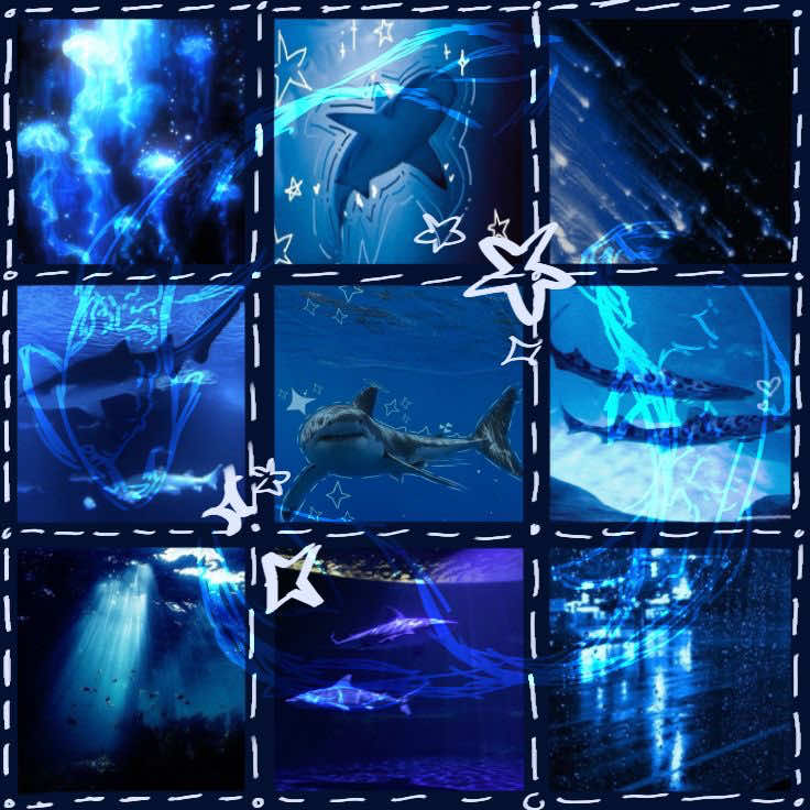 @⋆🐾&deg; 𝘚𝘩𝘢𝘳𝘬𝘺 🦈⋆🐾&deg;