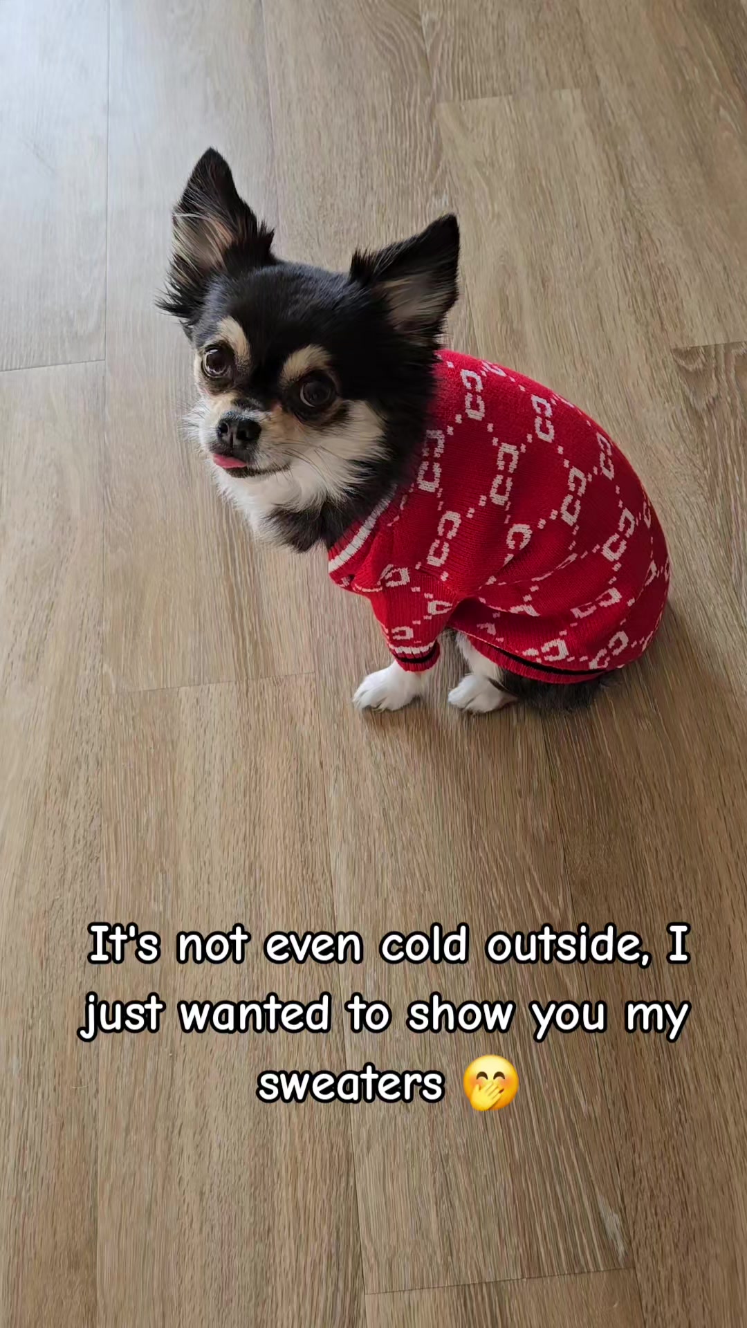 @Pawsha
