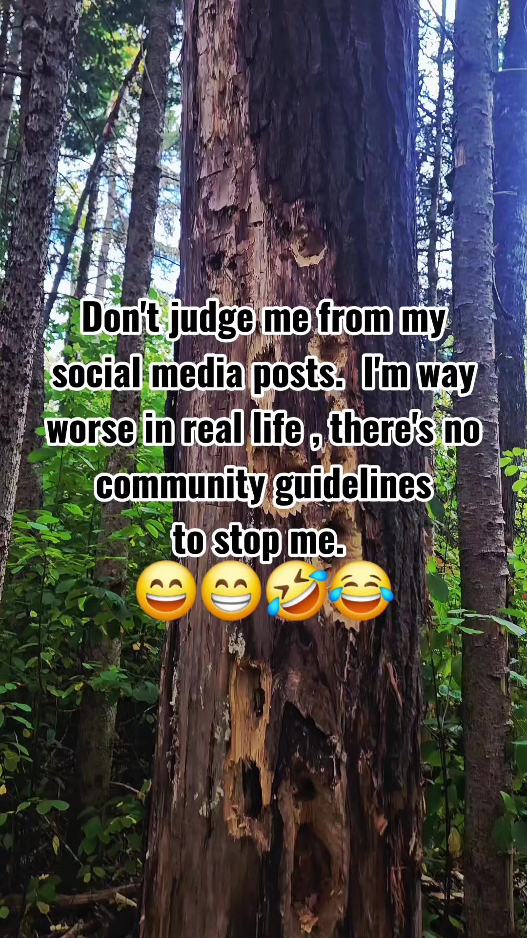 @Hiking_n'_Shit 🇨🇦
