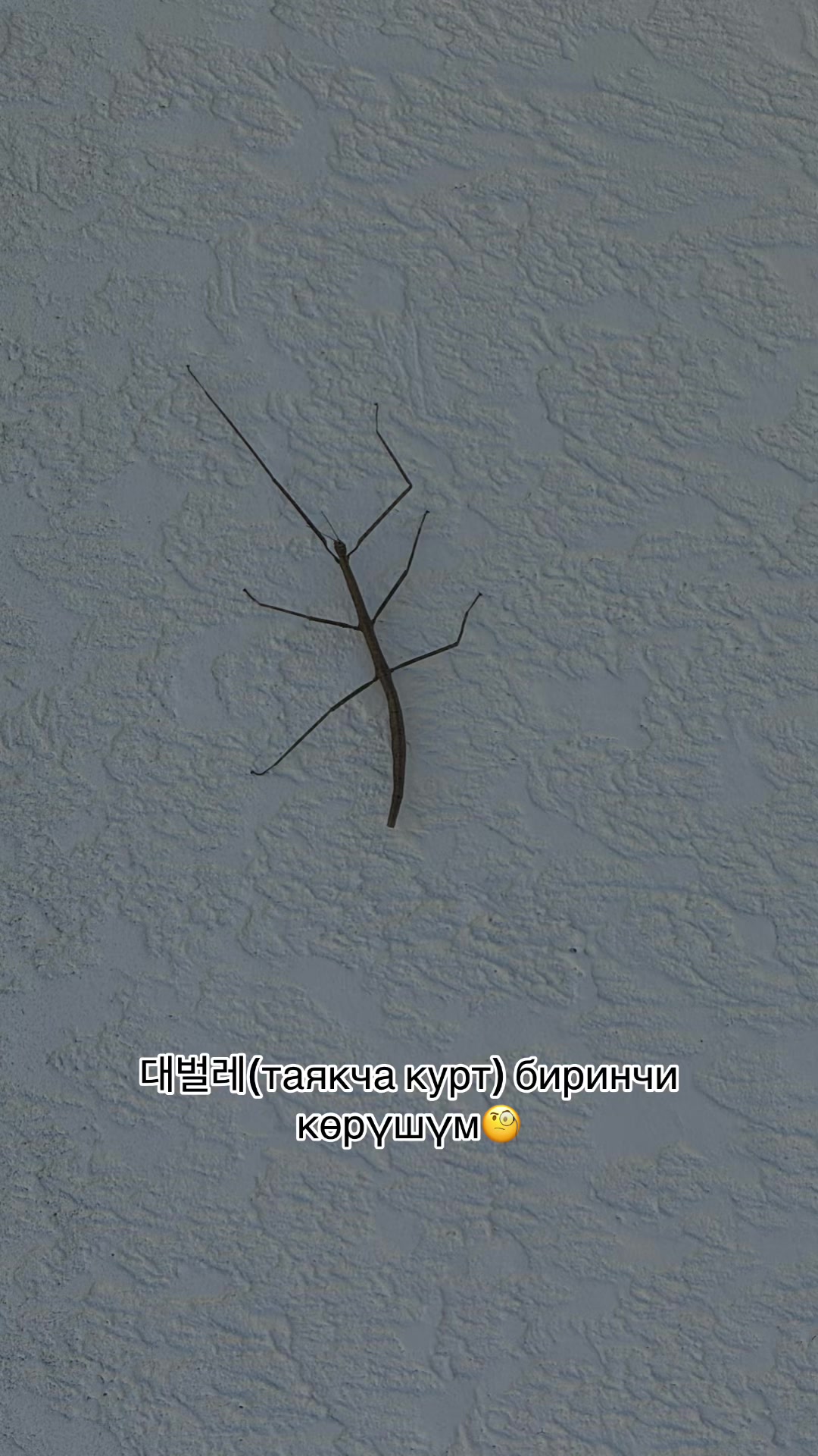 @🇰🇬Meriya🇰🇷