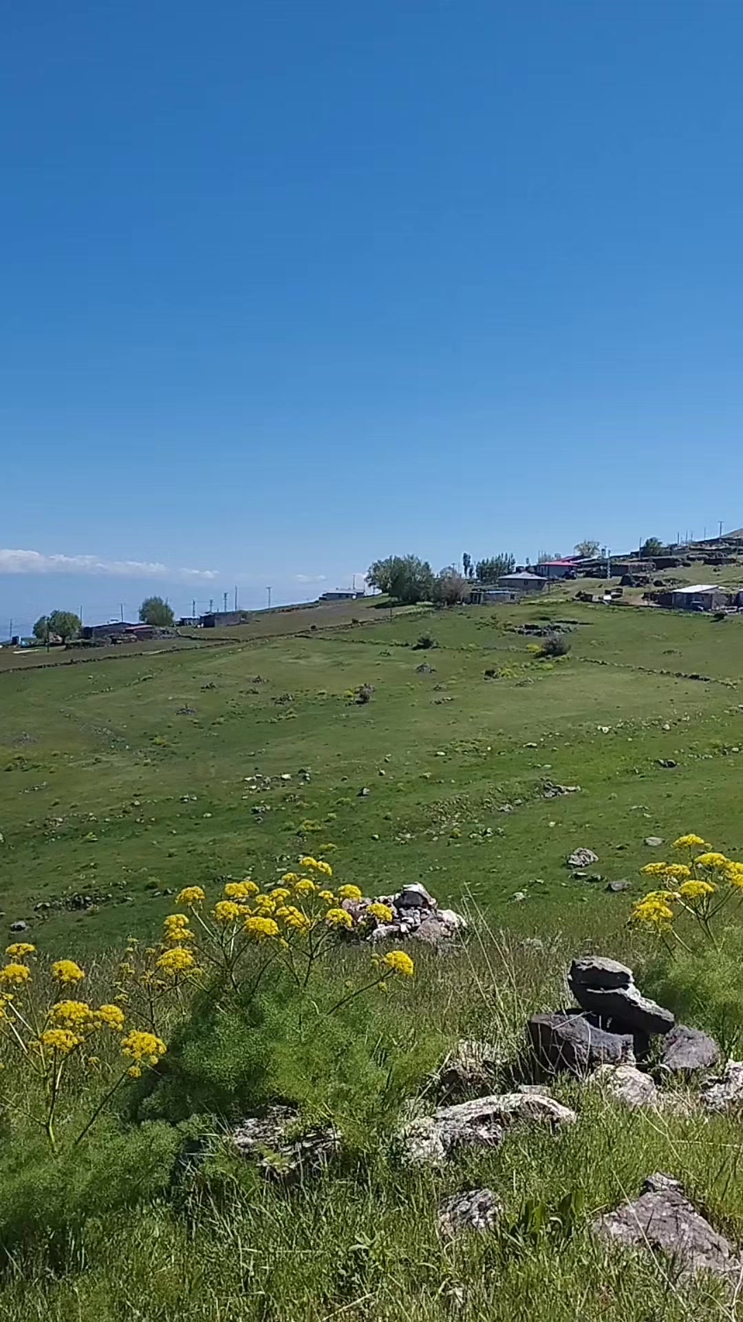 @EFE. &Ouml;ZG&Uuml;VEN 76