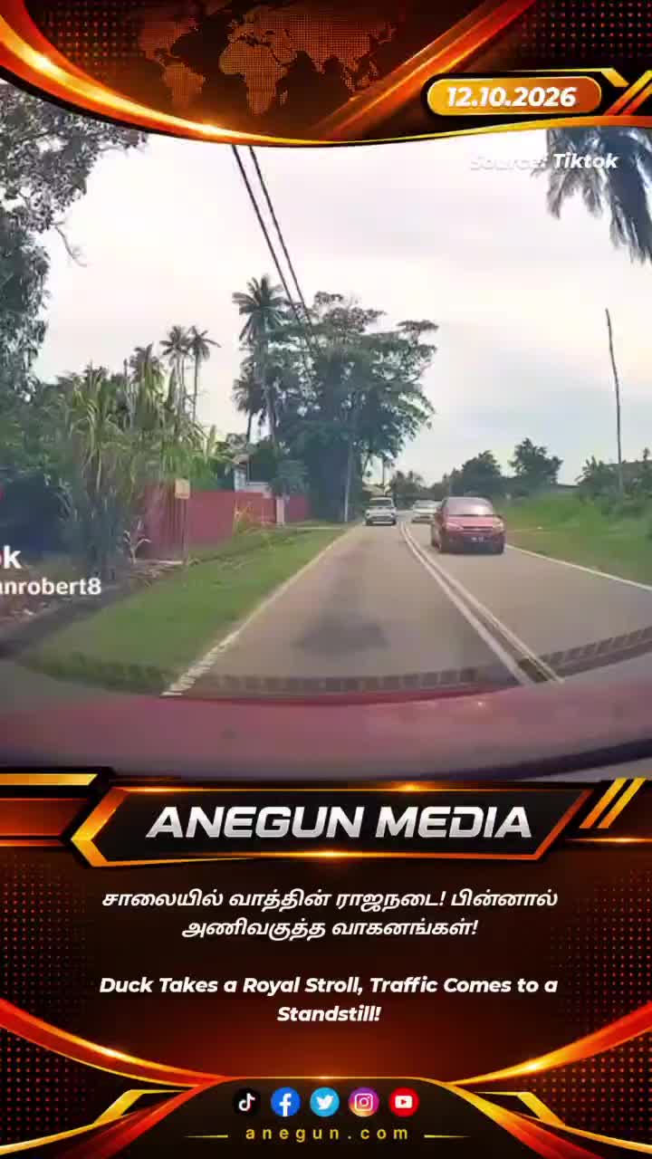 @AnegunNews