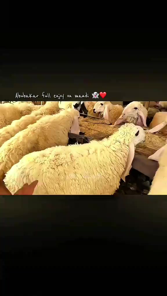 @cousinology.edits.1