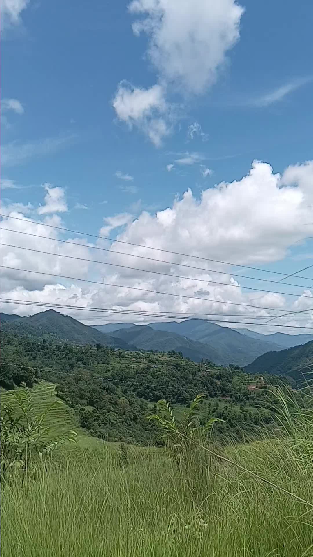 @salina adhikari pokharel