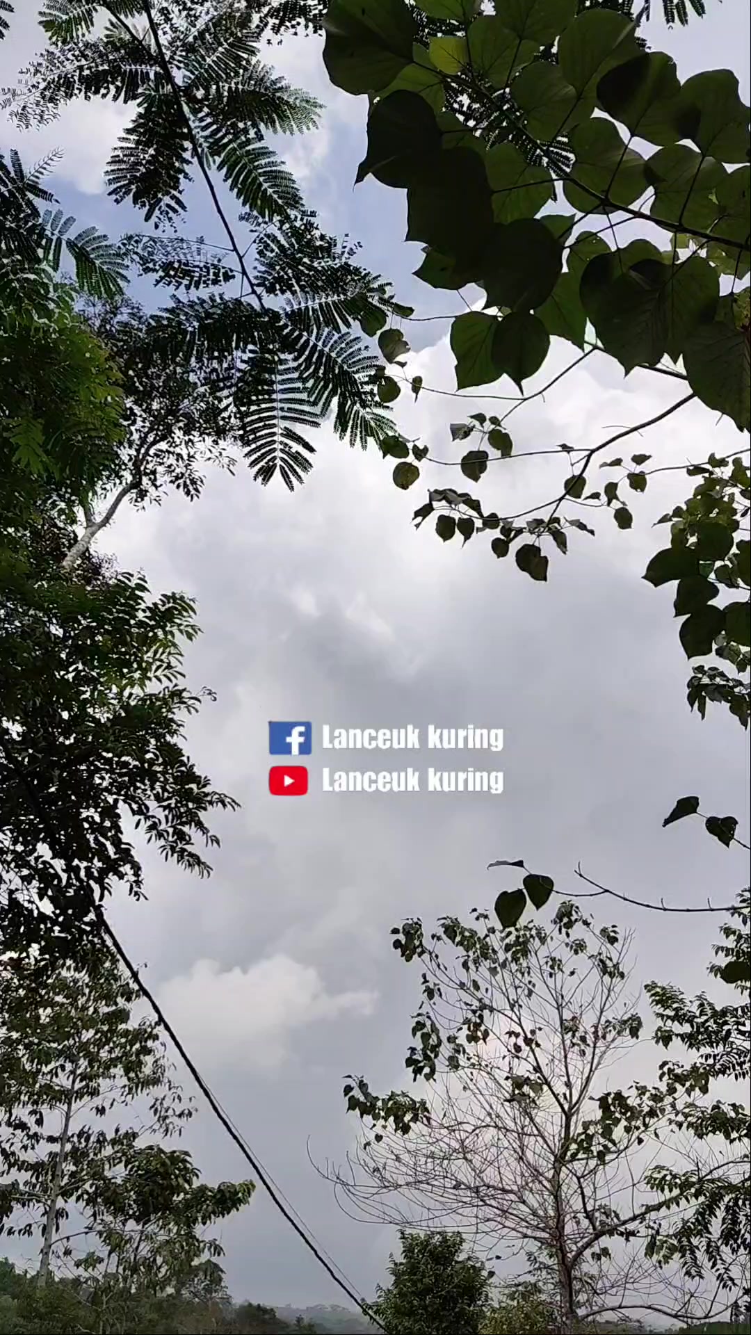 @Lanceuk Kuring