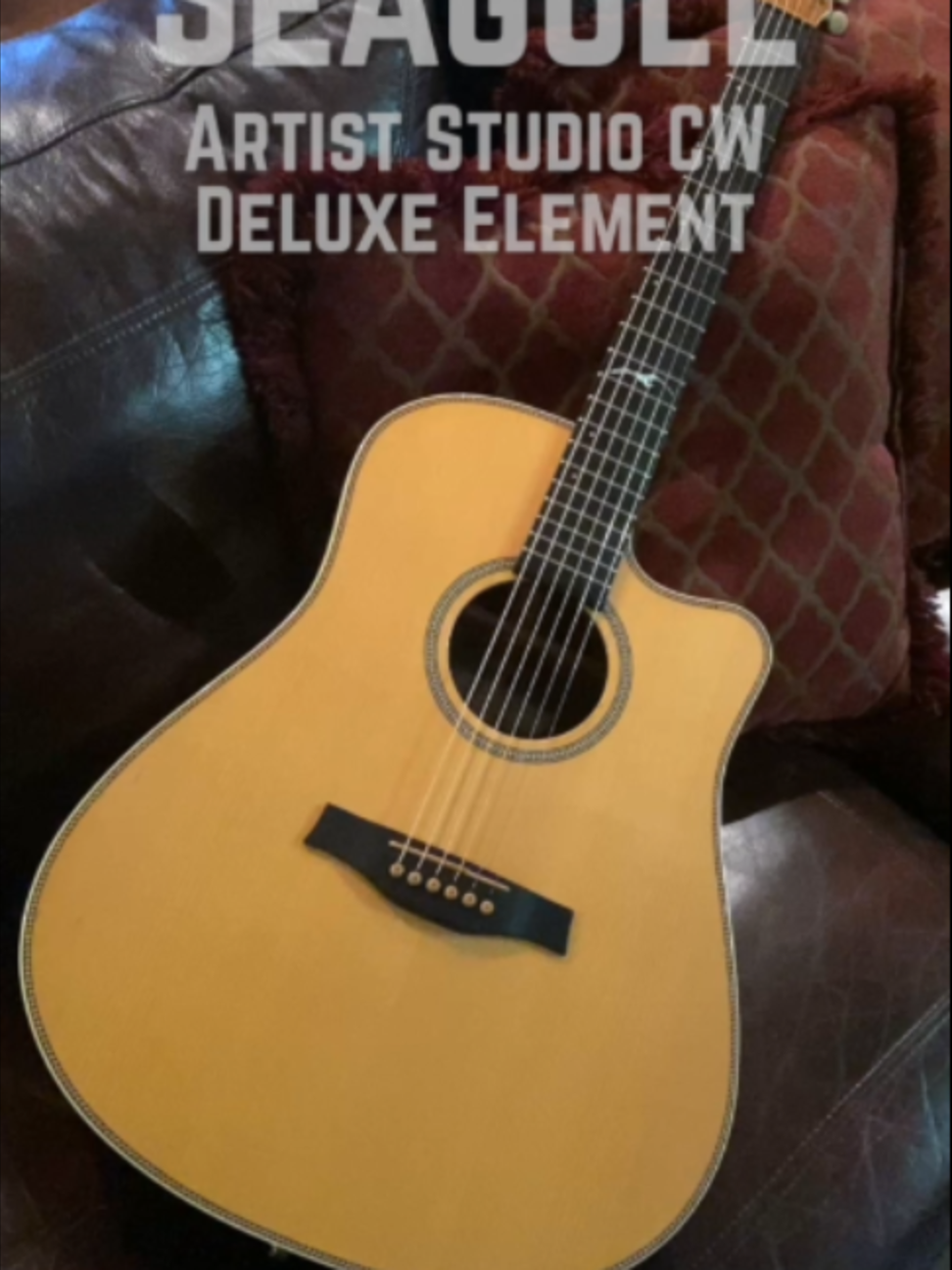 @GuitarNiche.Tech