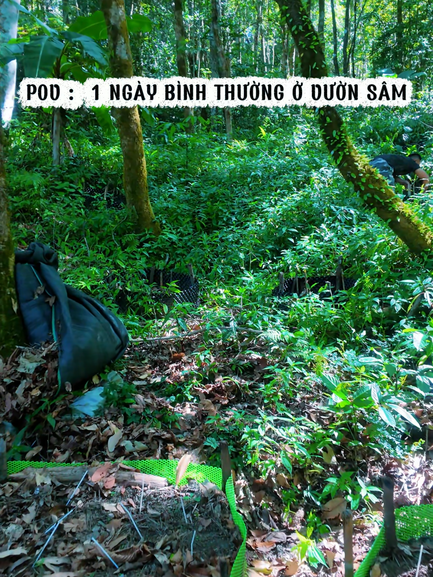 @Gi&oacute; Kon Tum