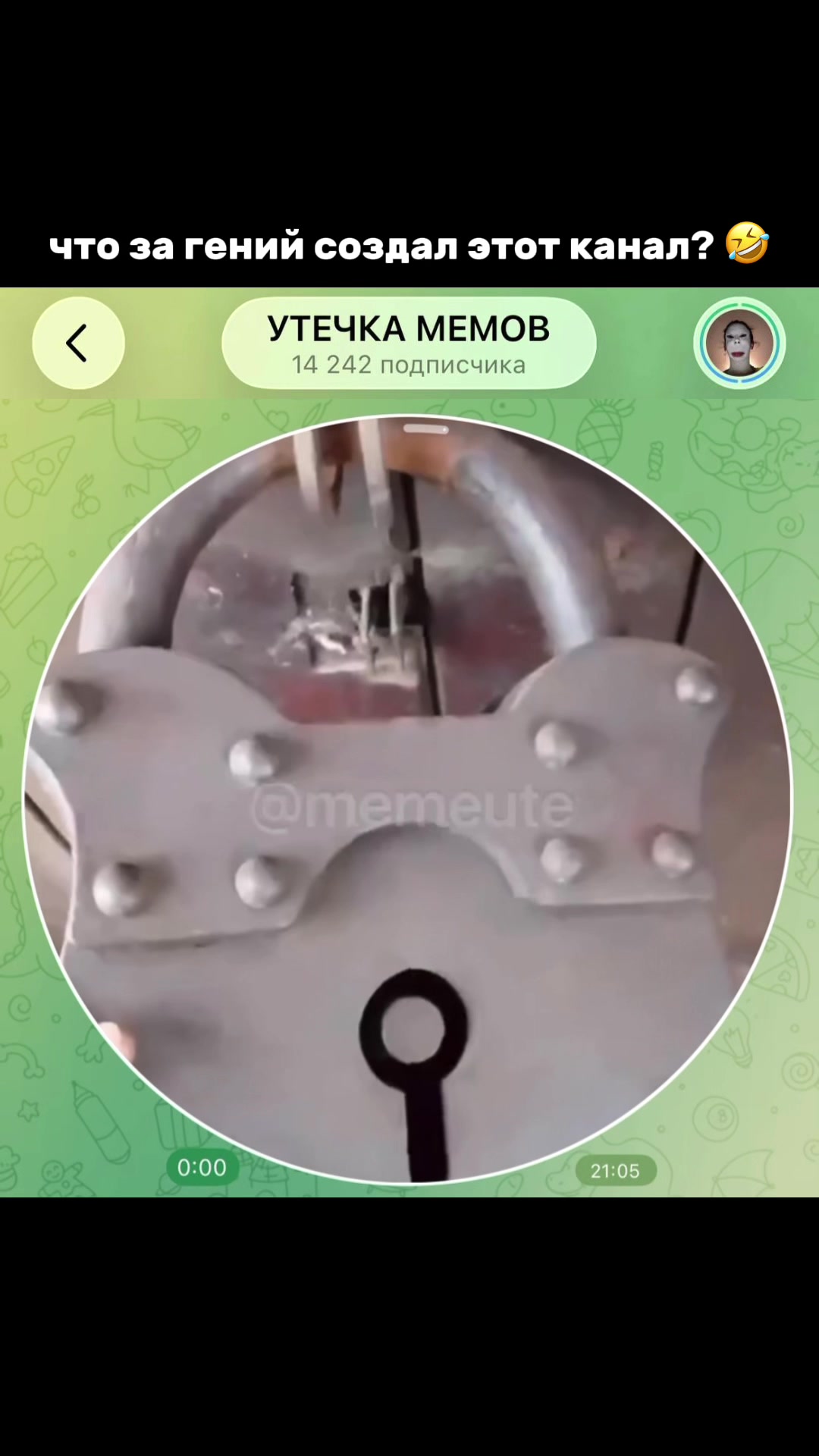 @тгк: memeute