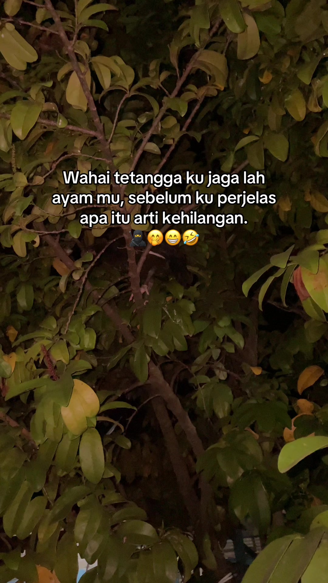 @ikbalskydder02