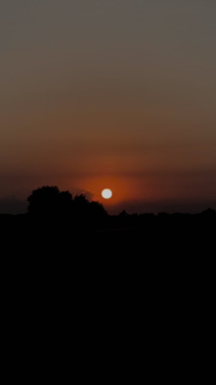 @Razil' ibragimov