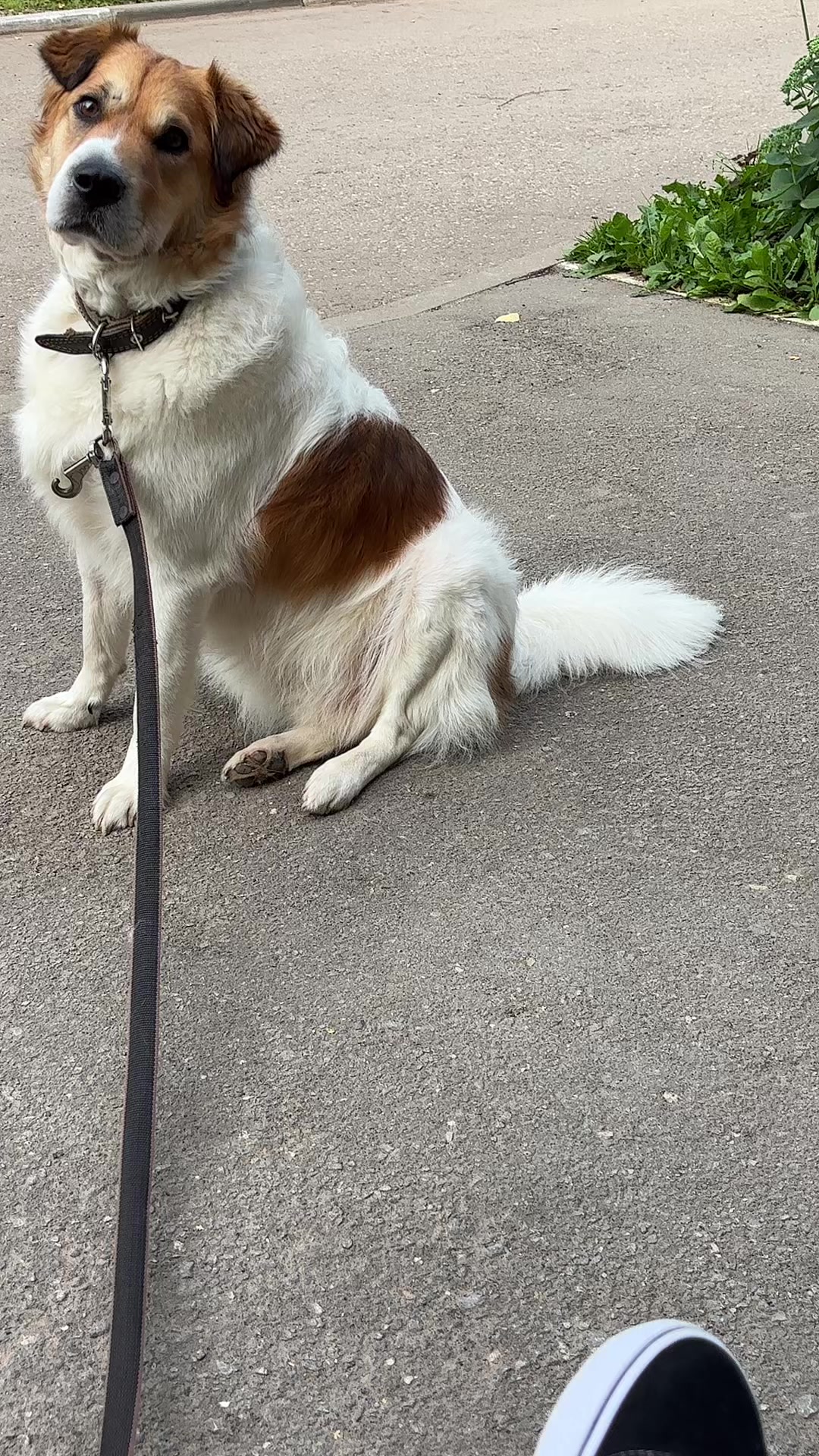 @катя гейпати