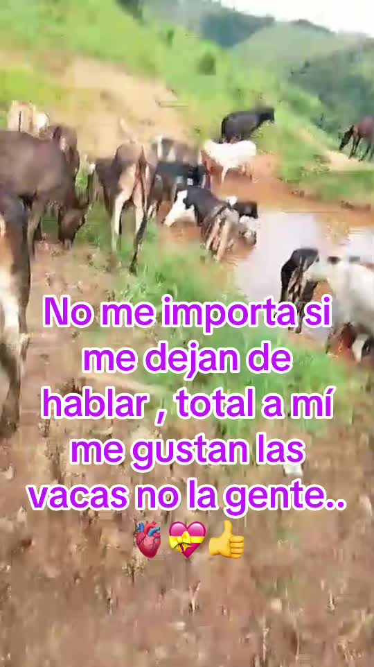 @Gaby herrera