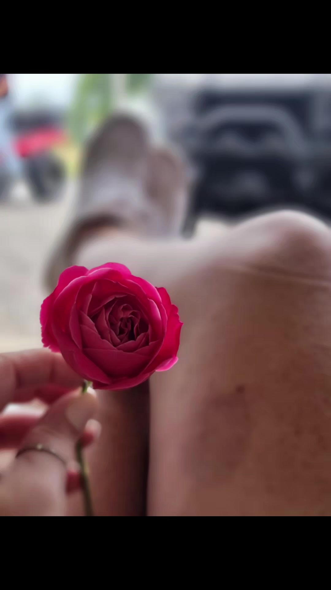 @TNLuLu