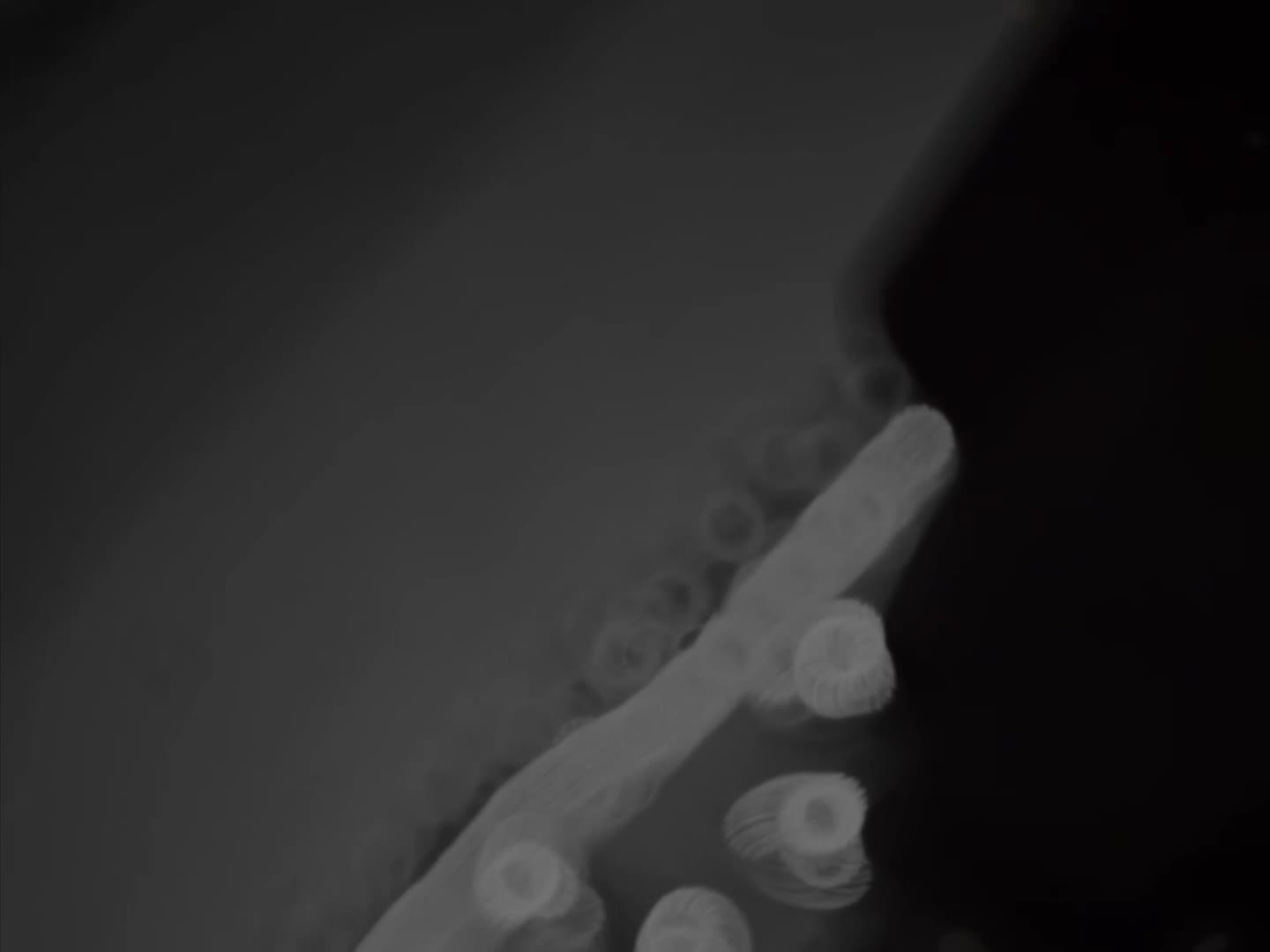 @ابو داحم||𝐀𝐁𝐎𝐔𝐃🪐