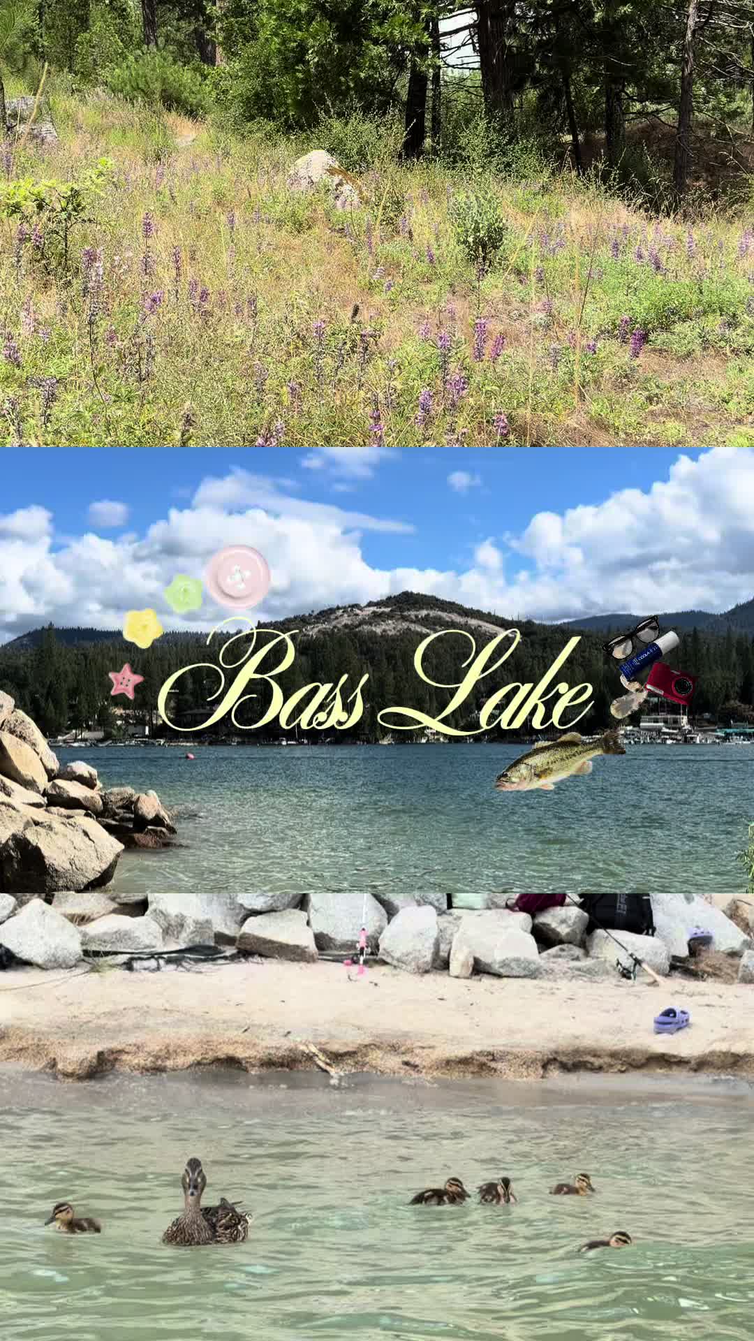 @Veronica 🌷🐚