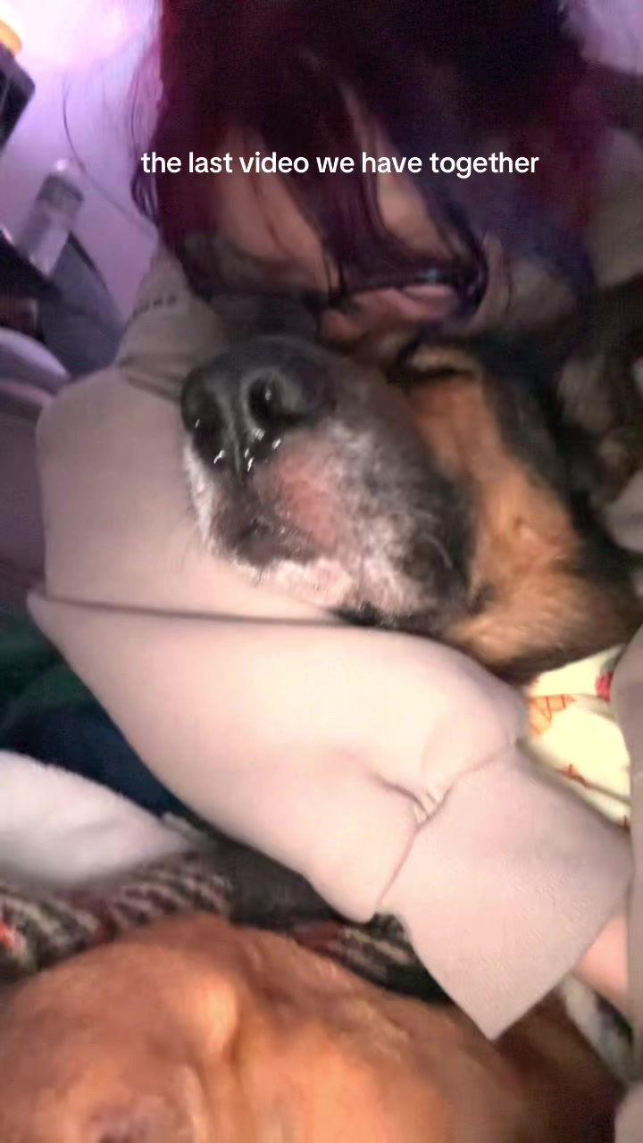 @ʕ•ᴥ•ʔ