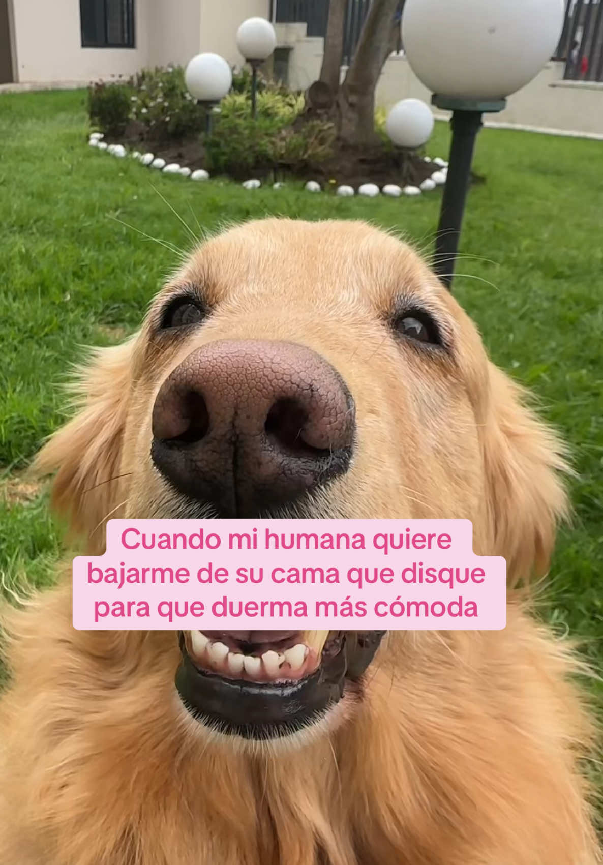 @tatianaplusnala