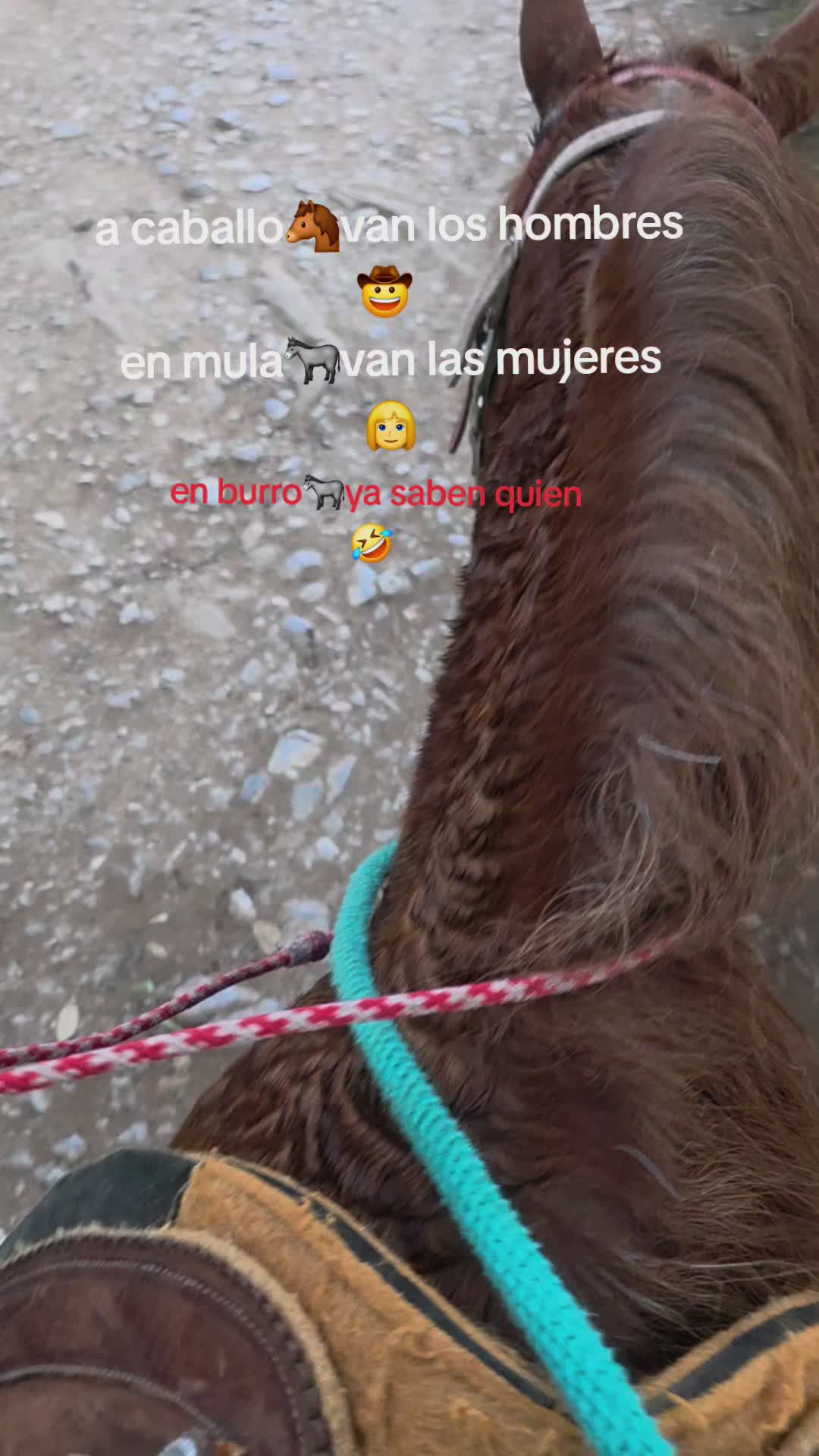 @Luis Alberto Sánchez Pérez