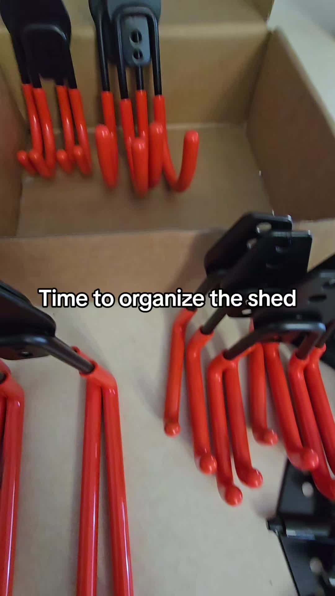 @shannonkough