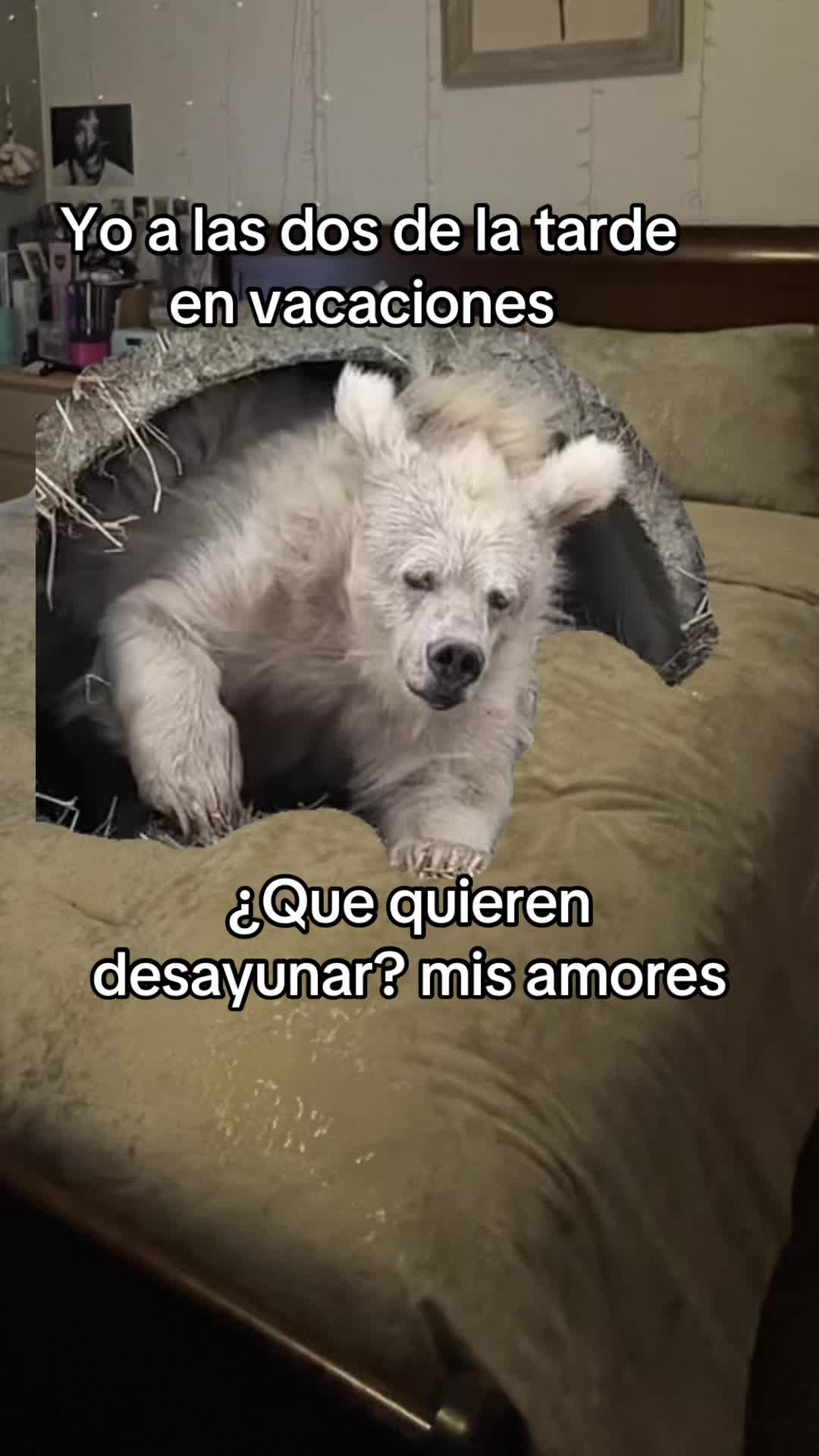 @frases_para_tupagina