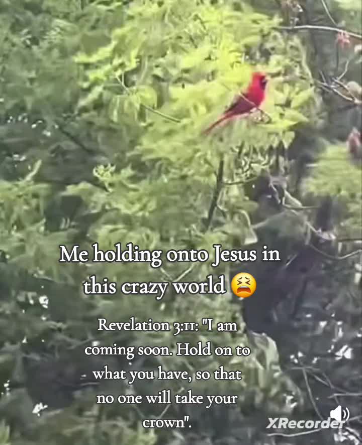 @🤍🕊Ksweet 🤍☆&deg;◇♡☆&deg;&curren;◇